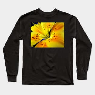 Lily Long Sleeve T-Shirt